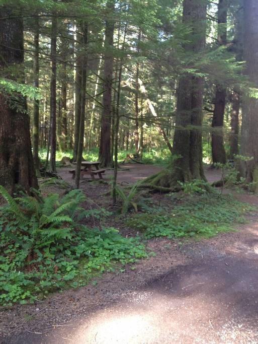 Three Rivers Resort Forks Bagian luar foto